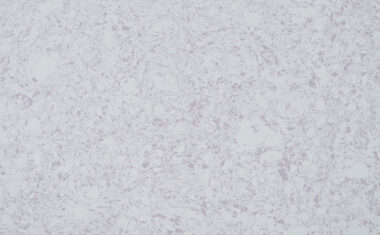 Cotton Crema