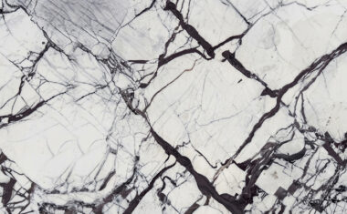 Woodland white