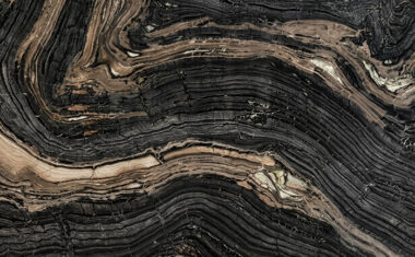 Black Forest