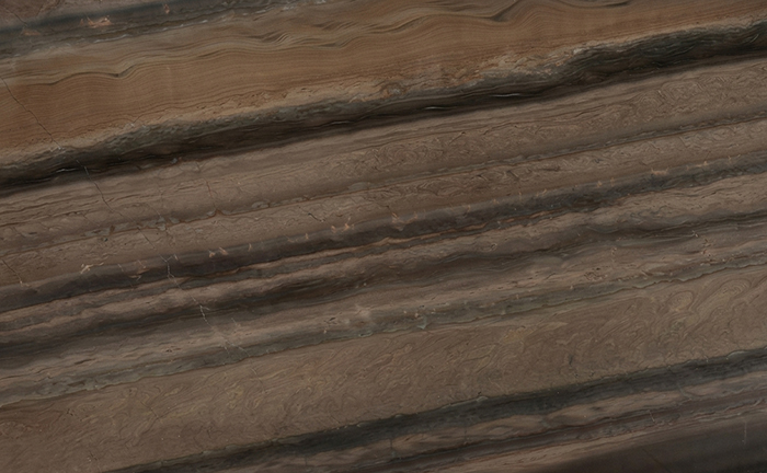 Elegant Dune